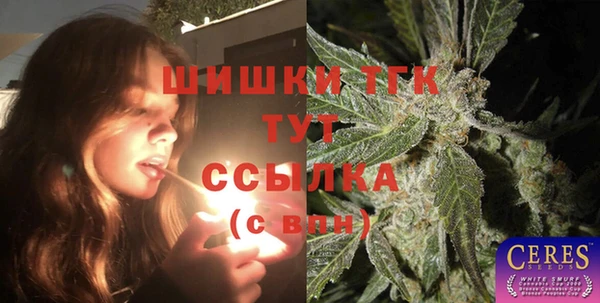 спиды Михайловка