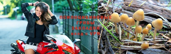 мескалин Михайлов