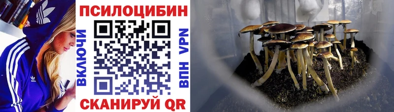 Галлюциногенные грибы Cubensis  Новая Ляля 